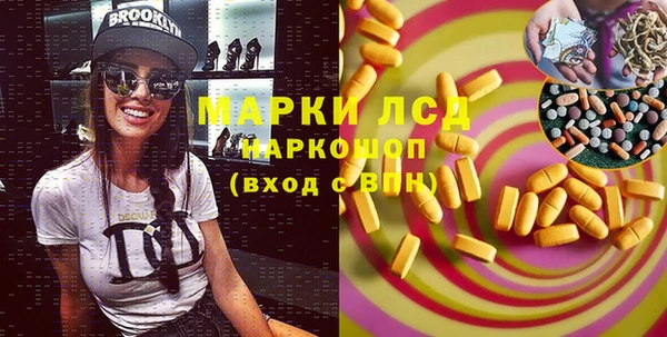 хмурый Вяземский