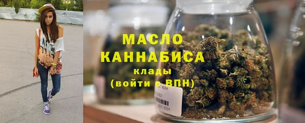 тгк Пересвет