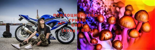 хмурый Вяземский