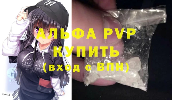 стаф Бородино