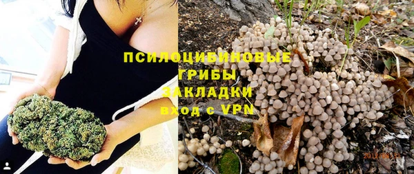 хмурый Вяземский